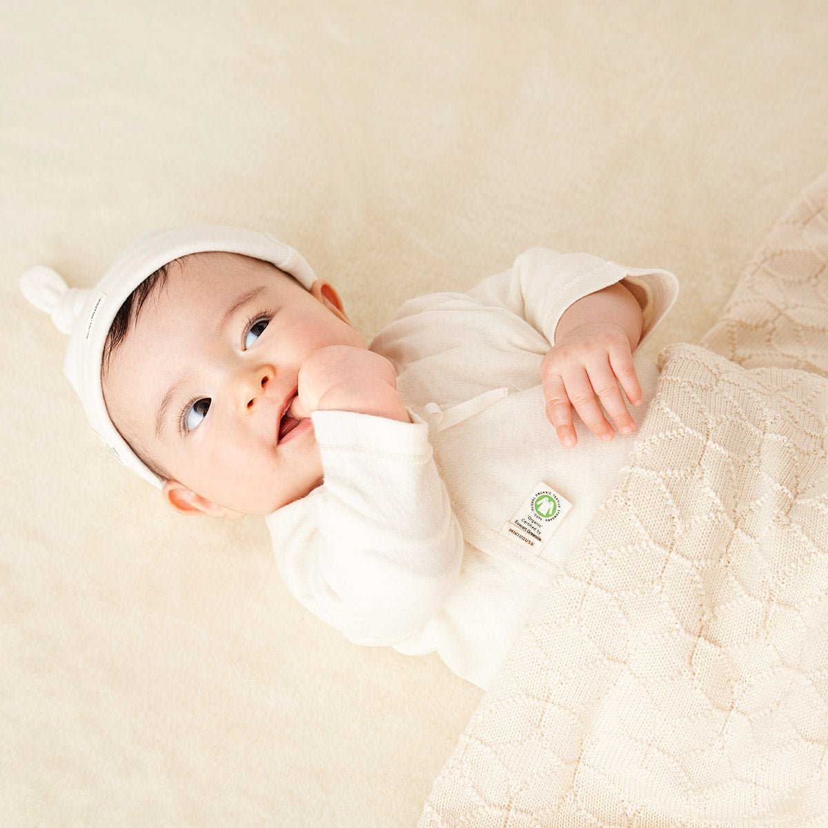 Baby best sale blanket photoshoot