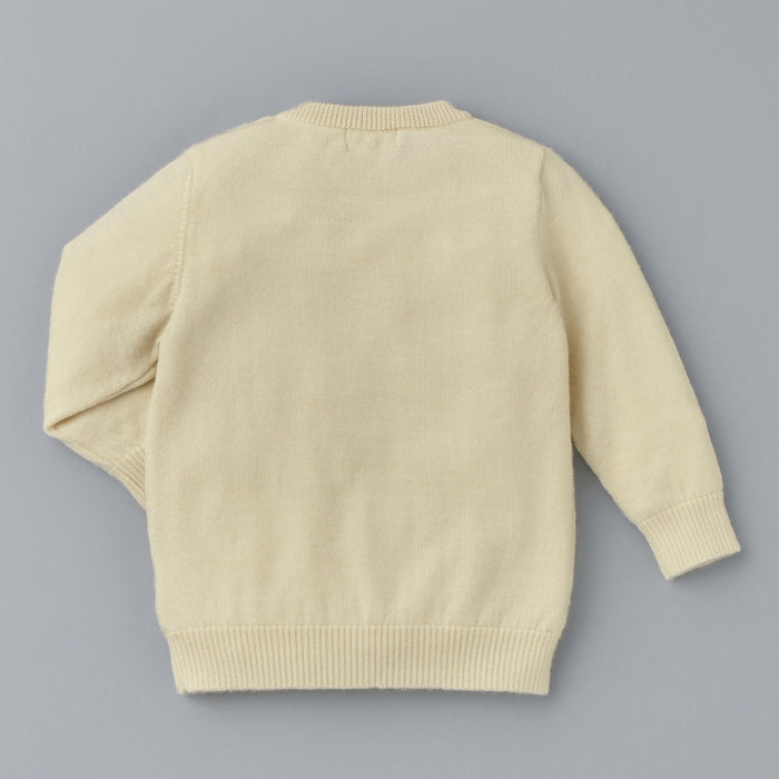 Alashan Cashmere Sweater