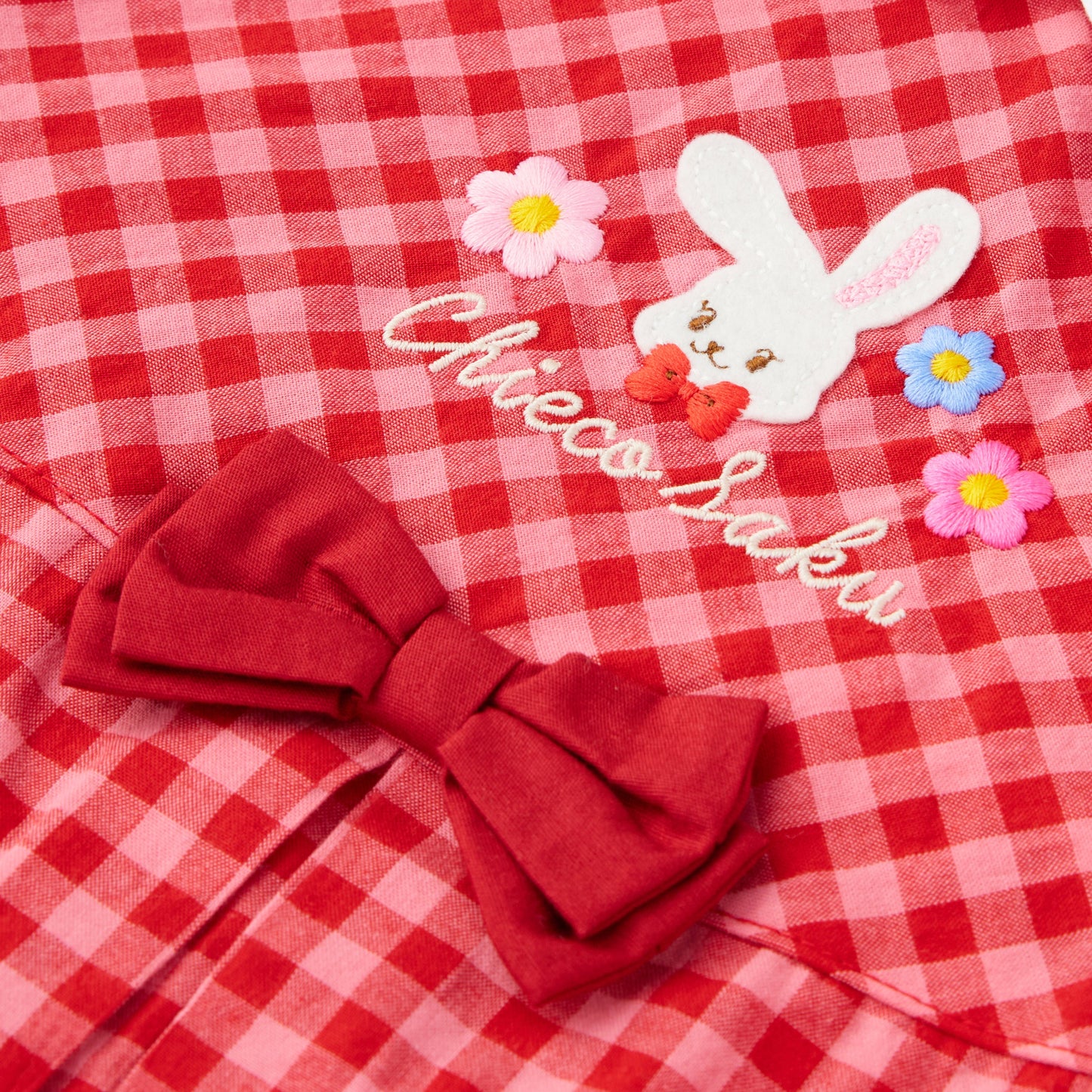 Sweet Gingham Ribbon Dress