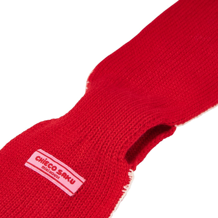 Red Knit Storybook Scarf