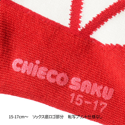 Sweet Gingham Ribbon Ballerina Socks