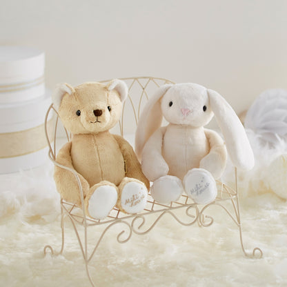 My First Teddy Bear