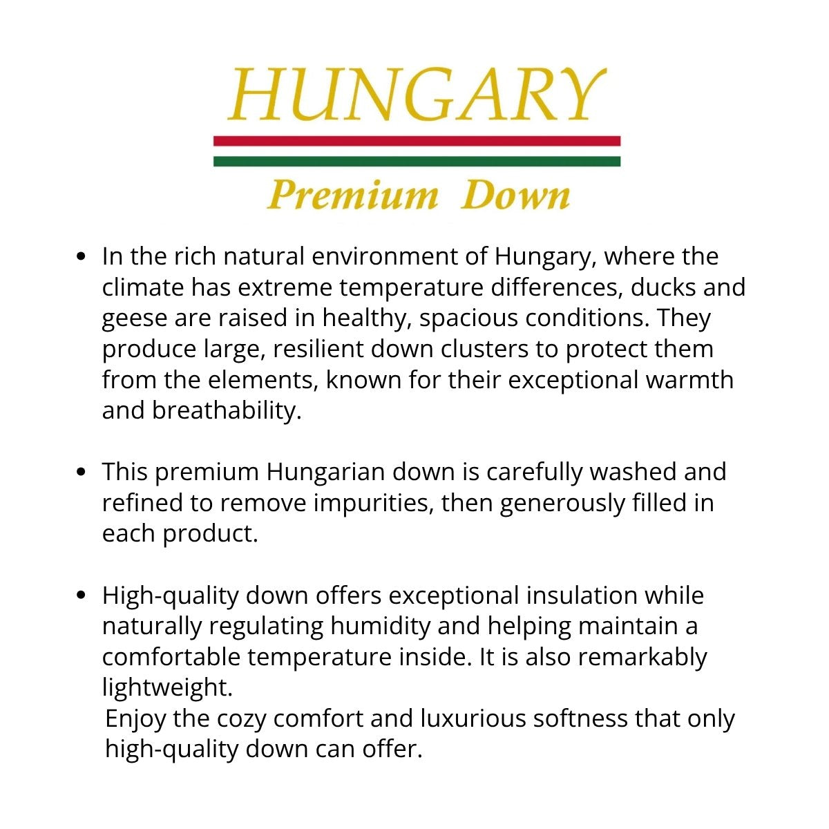 Jurassic Journey Down Vest