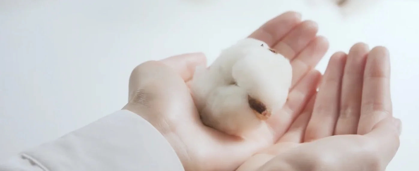 A soft tuft of cotton held gently in two hands